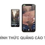 Các hình thức quảng cáo TikTok phổ biến hiện nay