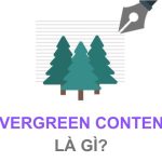 Evergreen Content là gì? 5 Lưu ý khi viết Evergreen Content