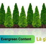 Evergreen Content là gì