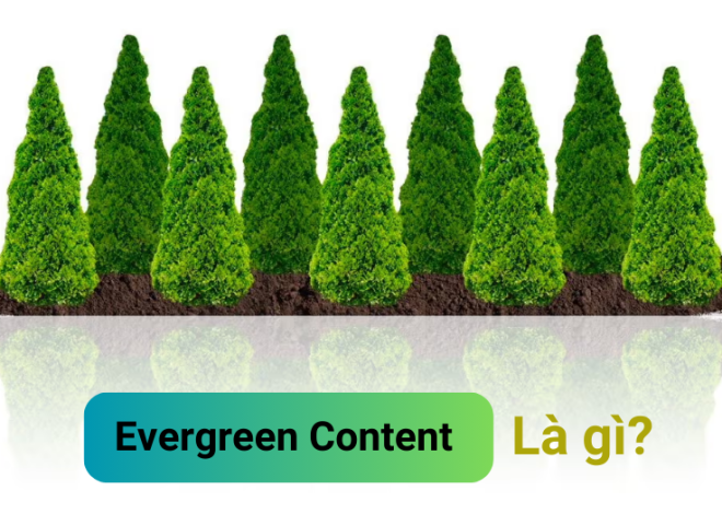 Evergreen Content là gì? Lưu ý khi viết Evergreen Content