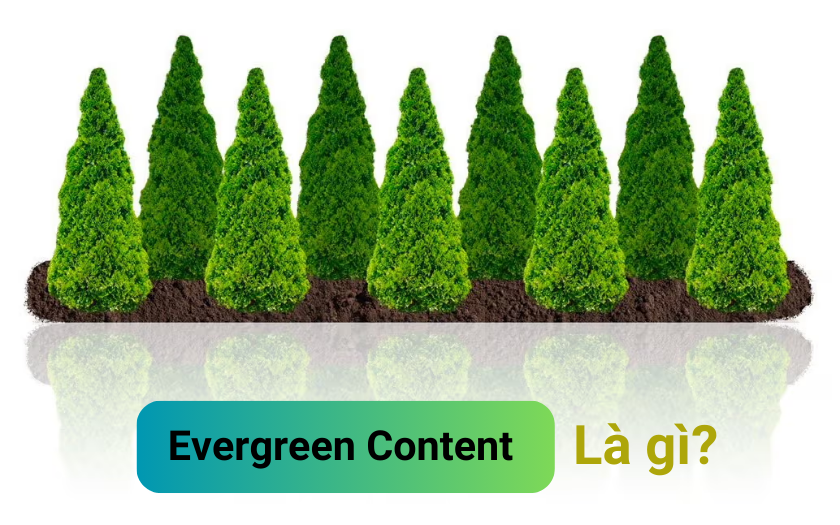 Evergreen Content là gì? Lưu ý khi viết Evergreen Content